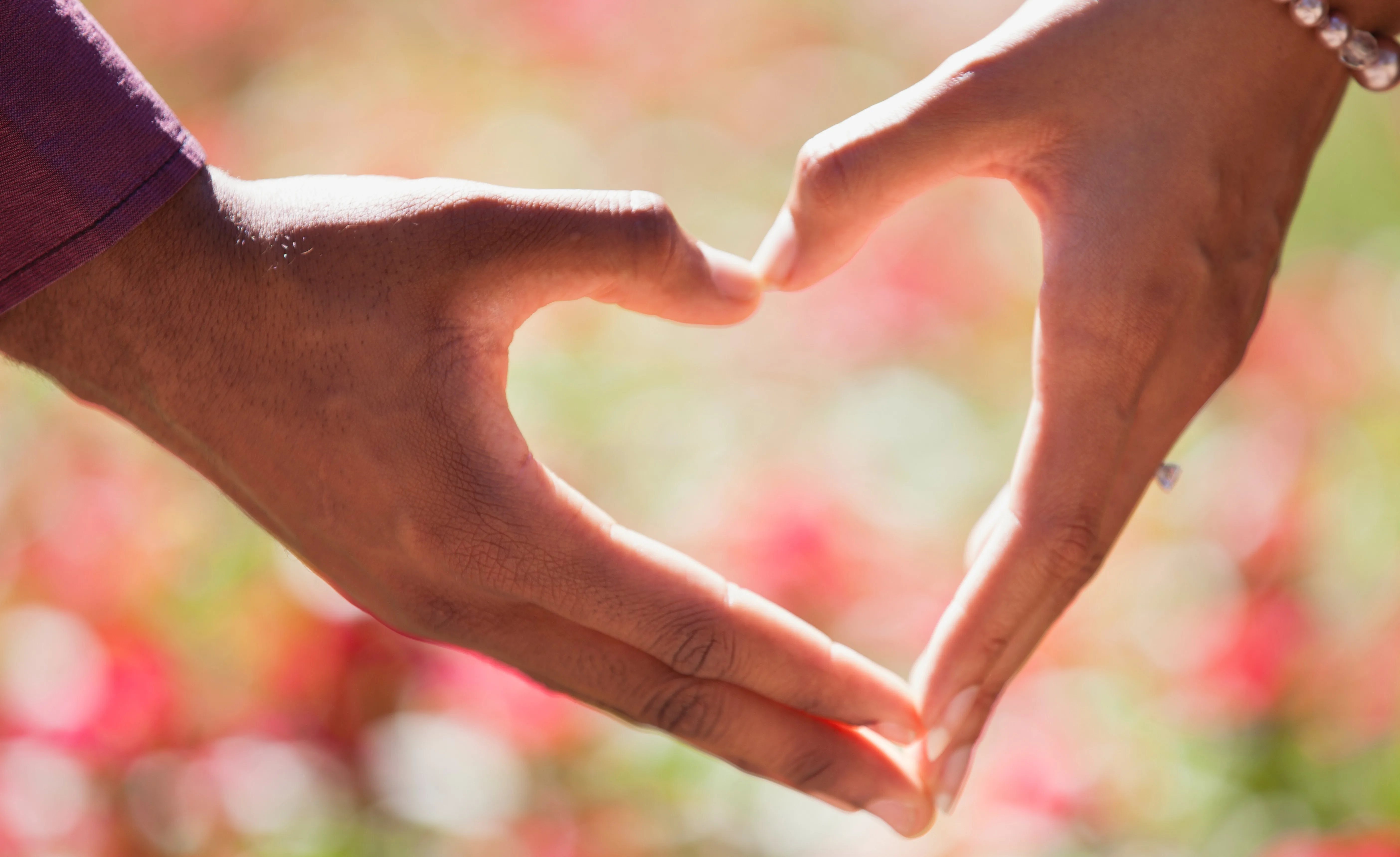 How SuperSlow Training Helps in Boosting Heart Health in Older Adults
